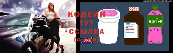 spice Осинники